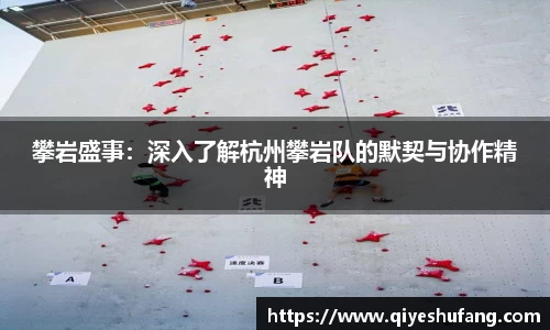 攀岩盛事：深入了解杭州攀岩队的默契与协作精神