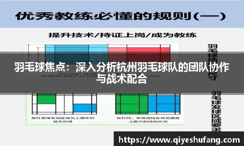 羽毛球焦点：深入分析杭州羽毛球队的团队协作与战术配合